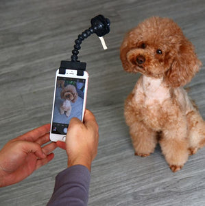 PetPerfect™ Pet Selfie Stick - 50% OFF Today Only